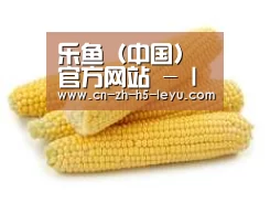 产品名称五