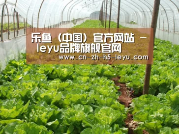 种植基地五
