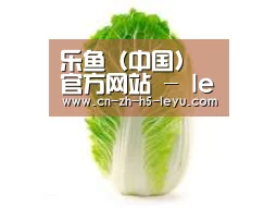 产品名称一