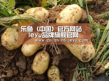 种植基地六