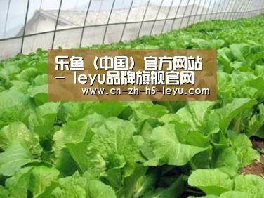 种植基地一