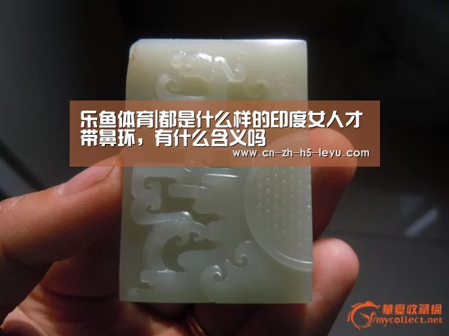 乐鱼体育|都是什么样的印度女人才带鼻环,有什么含义吗(图1) 乐鱼体育|都是什么样的印度女人才带鼻环,有什么含义吗(图1)