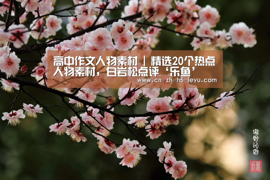 高中作文人物素材 | 精选20个热点人物素材,白岩松点评‘乐鱼’(图1) 乐鱼体育