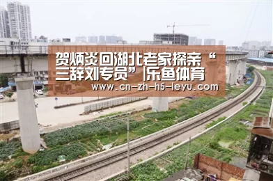 乐鱼
