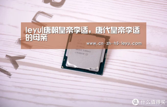 leyu|唐朝皇帝李适,唐代皇帝李适的母亲(图2) 乐鱼体育